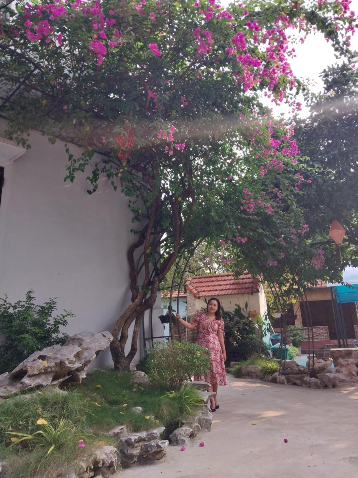 Trang An Elegant * Ninh Bình